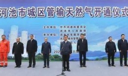 河池新闻视频爆料,揭秘当地热点事件背后的真相